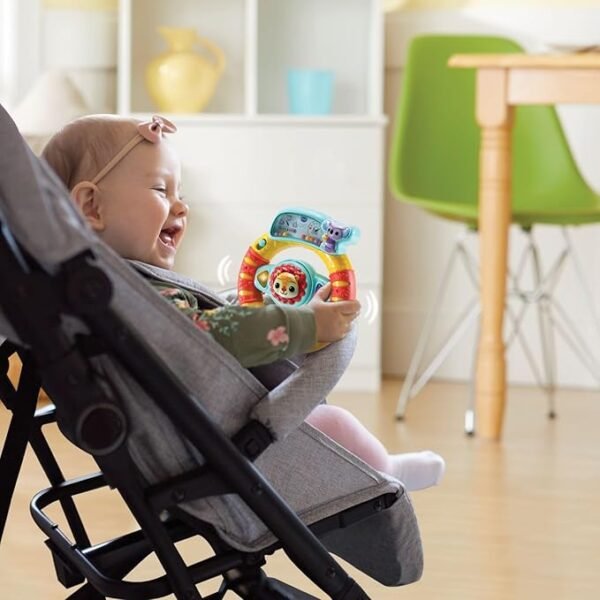 Baby volante delle scoperte - immagine 3