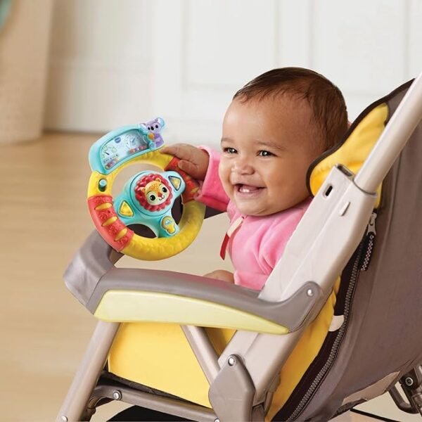 Baby volante delle scoperte - immagine 2