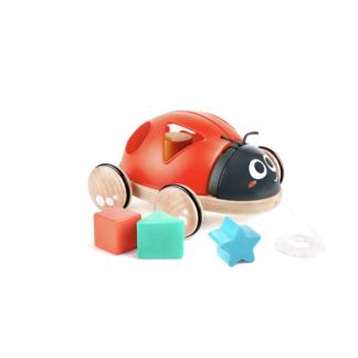 Coccinella selezionatore di forme Hape E0364